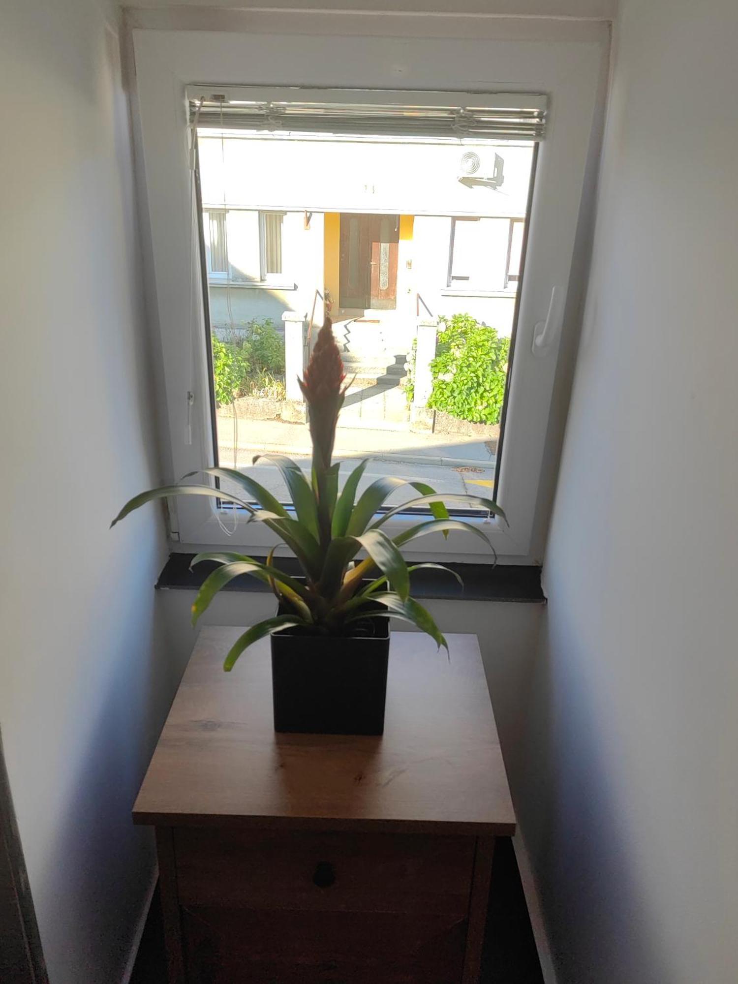 Sana Apartment Postojna Bagian luar foto